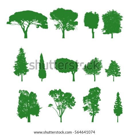 Vector Trees Silhouettes Green Trees Big Stock Vector 564641074