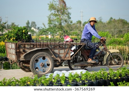 SADEC, VIETNAM - JAN, 2016 : Unidentified man is preparing for flower harvest for Lunar New Year sale. Sadec Flower Village (Tan Qui Dong) supply flowers for Southern area of Vietnam.