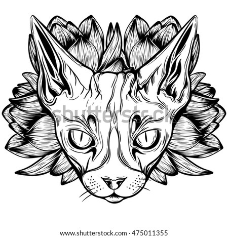 vector illustration graphic elements ans cat stock vector vector illustration graphic elements ans cat stock vector