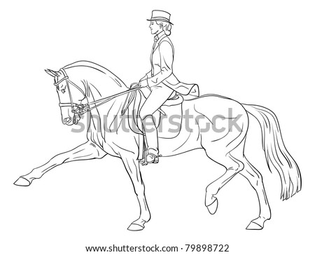 Silhouette Arabian Horse Sunrise Summer Stock Photo 100702021 ...