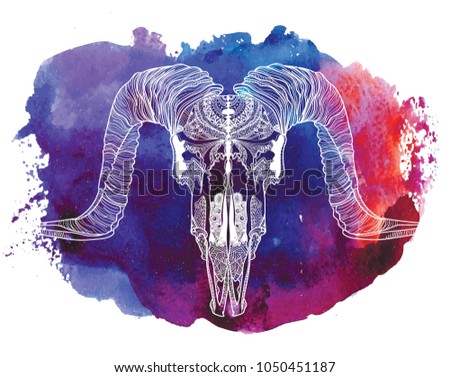 Skull Of A Ram Meditation Coloring The Mandala Ethnic Drawing Manually