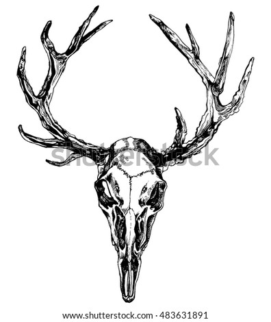Hand Drawn Reindeer Skull Antlers Crystals Stock Vector 483820669 ...