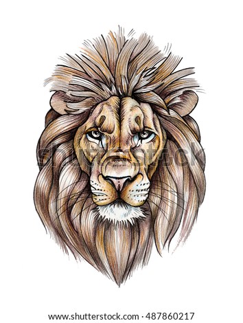 Portrait Beautiful Lion Color Pencil Drawing Stock Illustration