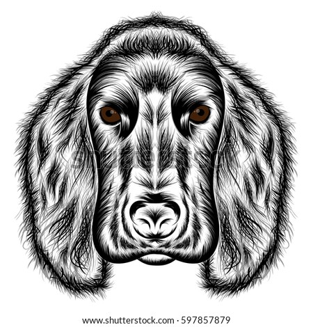 Cocker Spaniel. Vector silhouette of a dog's head
