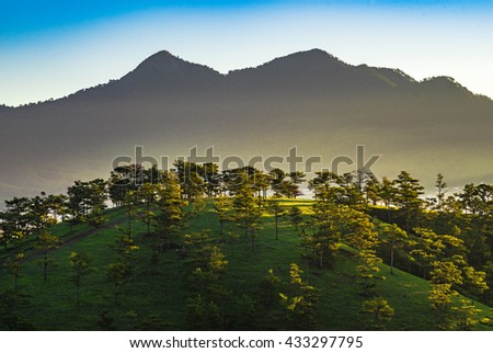 DA LAT, VIETNAM, May 30, 2016: Pine forest with colorful cloud, Da Lat is highland city fog in the morning. Da Lat is one of the beautiful city in Viet Nam.