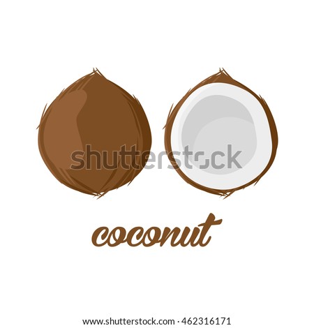 Coconut fruits poster in cartoon style. depicting whole and half. fresh juicy. isolated on white background including caption Coconut. Vector illustration.