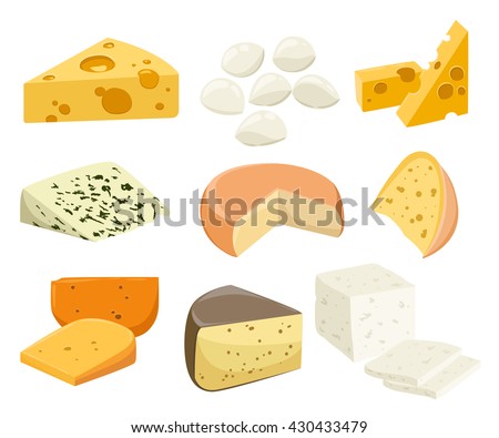Pieces of Cheese isolated on white. Popular kind of cheese icons isolated. Cheese types. Modern flat style realistic vector illustration