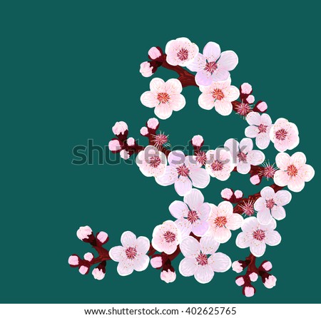 Flowering apricot branch