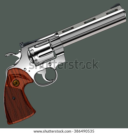 Revolver 357 Magnum Foto Stock 700104 - Shutterstock