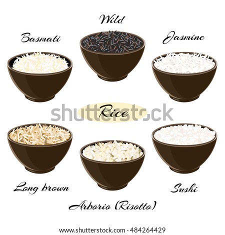 Different types of rice Basmati, wild, jasmine, long brown, arborio, sushi in ceramic bowls Vector illustration EPS 10.