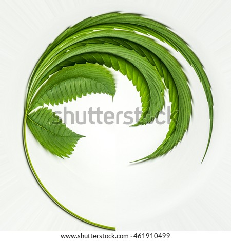 Hemp Leaf Stock Images, Royalty-Free Images & Vectors | Shutterstock