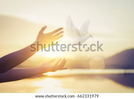 https://thumb7.shutterstock.com/display_pic_with_logo/3825344/662331979/stock-photo-woman-praying-and-free-bird-enjoying-nature-on-sunset-background-hope-concept-soft-focus-picture-662331979.jpg