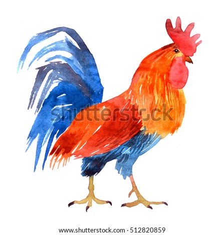 Download Watercolor Rooster Hand Drawn Isolated Illustration Stock ...