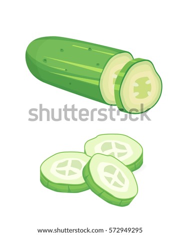 Set fresh cucumber, sliced and isolated vector illustration
