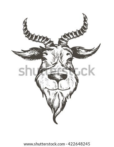 Goat Horns Stock Images, Royalty-Free Images & Vectors | Shutterstock