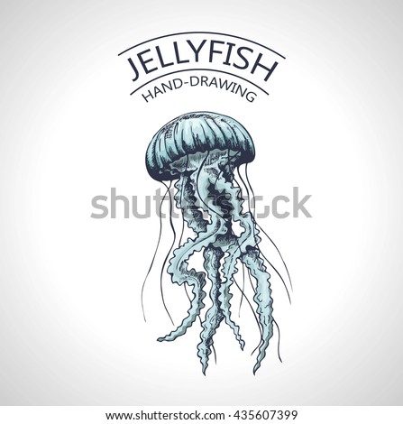 handmade sketch isolated jellyfish marine animals stock vector