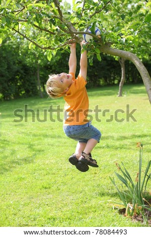 Kids Climbing Trees Stock Photos, Images, & Pictures | Shutterstock