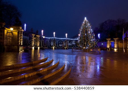 Christmas Tree in Dunfermline