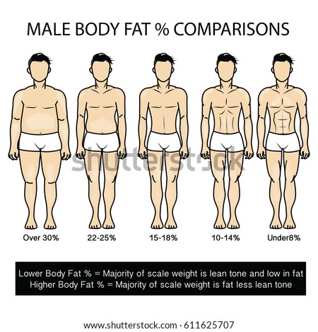 body fat percentage female abs