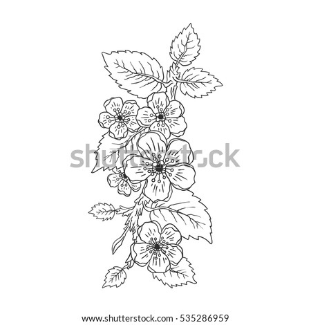 Blossom branch with leaves, flowers