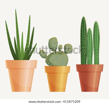 Succulents Cactus Plants Pots Houseplants Ceramic Stock Illustration ...