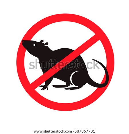 Rats And Mice Stock Images, Royalty-Free Images & Vectors | Shutterstock