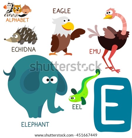 Echidna Stock Vectors, Images & Vector Art | Shutterstock