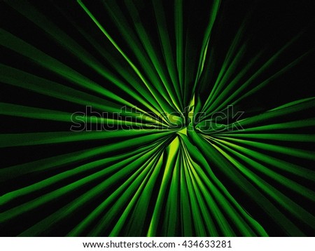 Neon Green Stock Photos, Royalty-Free Images & Vectors - Shutterstock