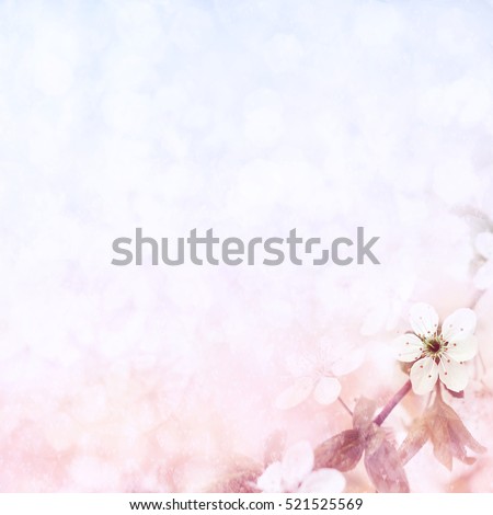 Spring blossom, selective focus, shallow DOF, toned, light and heart bokeh background, pastel and soft card