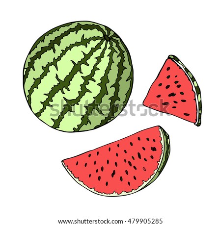 Watermelon berry vector Illustration. Object isolated on black background. Doodle style. Cloth design, wallpaper, wrapping, menu, restaurant,cafe,kitchen,textile,paper, card, invitation,holiday. Eps10
