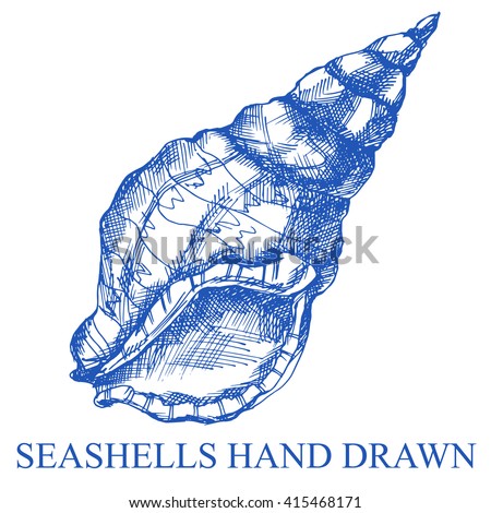stock-vector-sea-shell-nature-underwater-vector-hand-drawn-shell-marine-engraving-illustration-white-background-415468171.jpg
