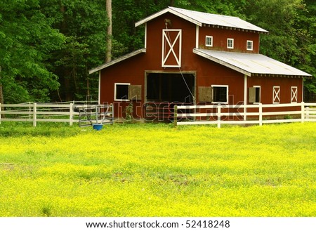 Old Horse Barn Horse Eating Straw Stock Photo 52678327 - Shutterstock