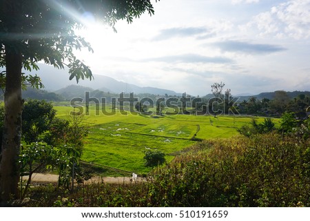 The beautiful rice fields and mountains, waterfall in Cam Ranh, Nha Trang, Khanh Hoa province, in central of Vietnam. An amazing destination, beautiful sightseeing, landscape for travelers