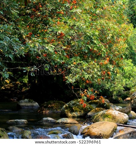 Pristine and majestic Mooc waterfall, located in the World Heritage Site in Quang Binh (490km from Hanoi), it's one of the tourist spots to help ease the heat of summer