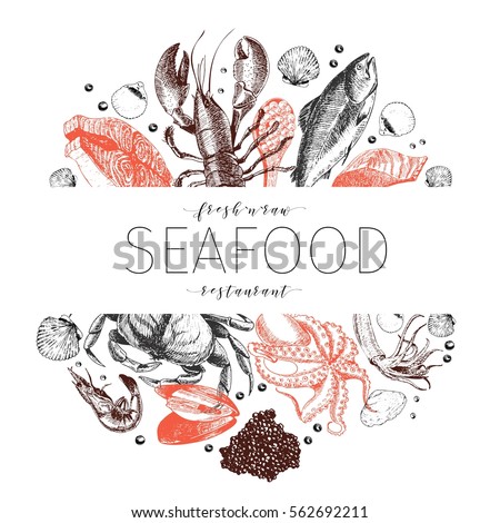 Vector Hand Drawn Seafood Banner Lobster Stock Vector 