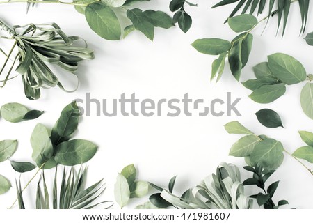 Frame Flowers Branches Leaves Petals Isolated Stock Photo 471981607