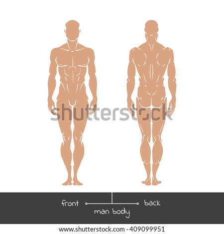 muscular young man front back view stock vector 407795194 muscular young man front back view stock vector 407795194, Muscles