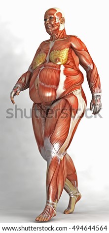 Walking Fat Woman Muscles Skin Stock Illustration 494644564 - Shutterstock