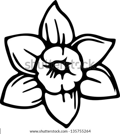 Simple black and white line drawing of a daffodil flower Simple black and white line drawing of a daffodil flower