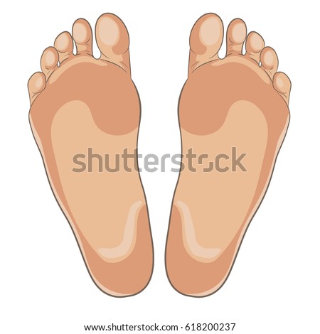 Left Right Foot Soles Illustration Footwear Stock Vector 618200237 ...