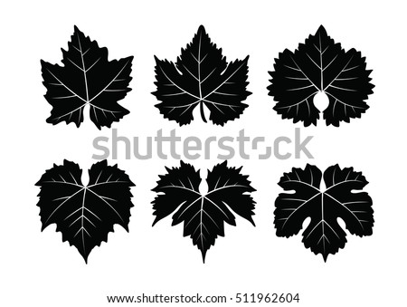 Collection Vector Wine Leaves Isolated On Stock Vector 511962604