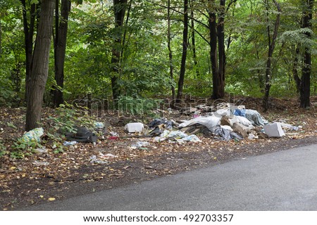 Illegal Dump Near Road Woods Garbage Stock Photo 492703357 - Shutterstock