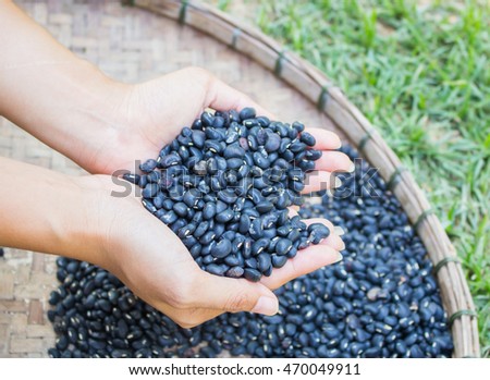 Black beans in hand, And in a wooden tray