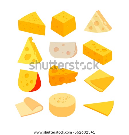 Different kinds of cheese. Vector set isolated on white background.