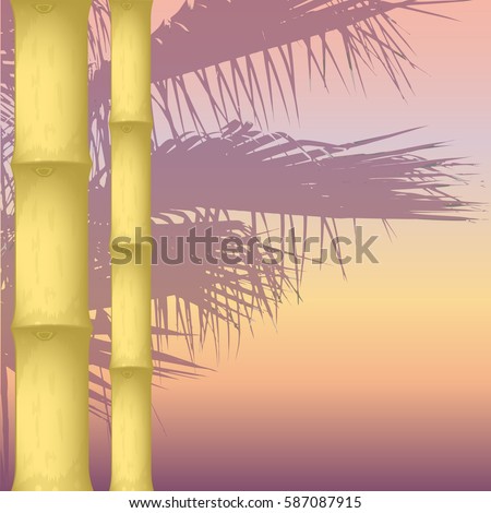 dry bamboo on an abstract background. silhouette of a palm tree. vector illustration