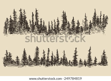 Forest Sketch Stock Photos, Images, & Pictures | Shutterstock