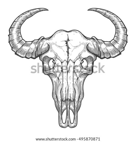 Buffalo Skull Hand Drawn Vector Illustration Stock Vector 379392460