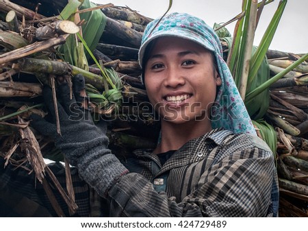 THANH HOA, Vietnam, September 13, 2015 rural women in Thanh Hoa, Vietnam, the harvest, the sugar
