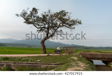 QUANG TRI, VIETNAM, November 18, 2015 man, ride fouls, Quang tri countryside, Vietnam