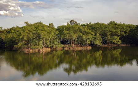 CA MAU, VIET NAM, April 10, 2016 Mangrove forests, seas Ca Mau, Vietnam